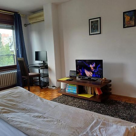 Apartment Student City, Wifi 300Mbs Belgrado Buitenkant foto