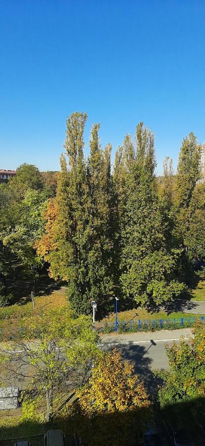 Apartment Student City, Wifi 300Mbs Belgrado Buitenkant foto