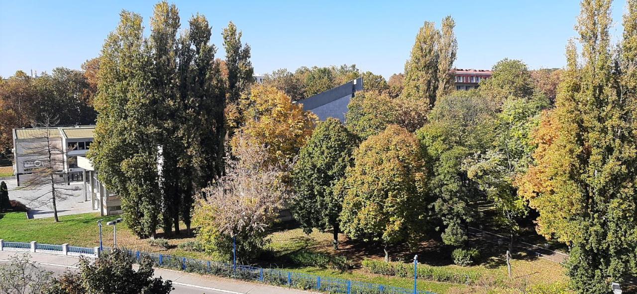 Apartment Student City, Wifi 300Mbs Belgrado Buitenkant foto